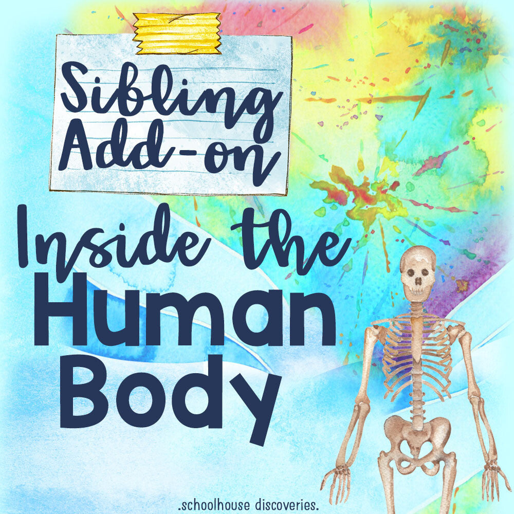 EE Inside the Human Body Sibling ADD-ON