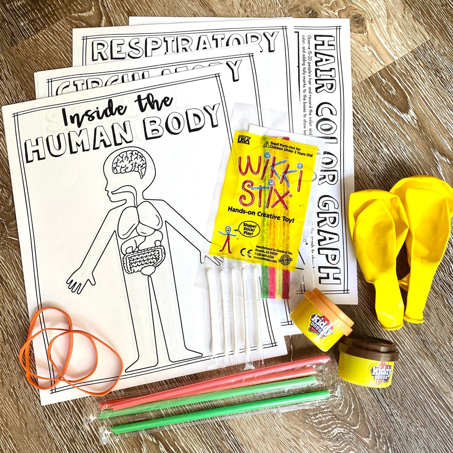 EE Inside the Human Body Sibling ADD-ON