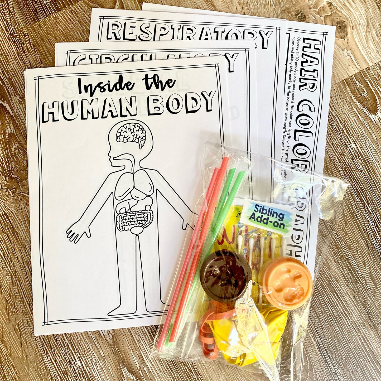 EE Inside the Human Body Sibling ADD-ON