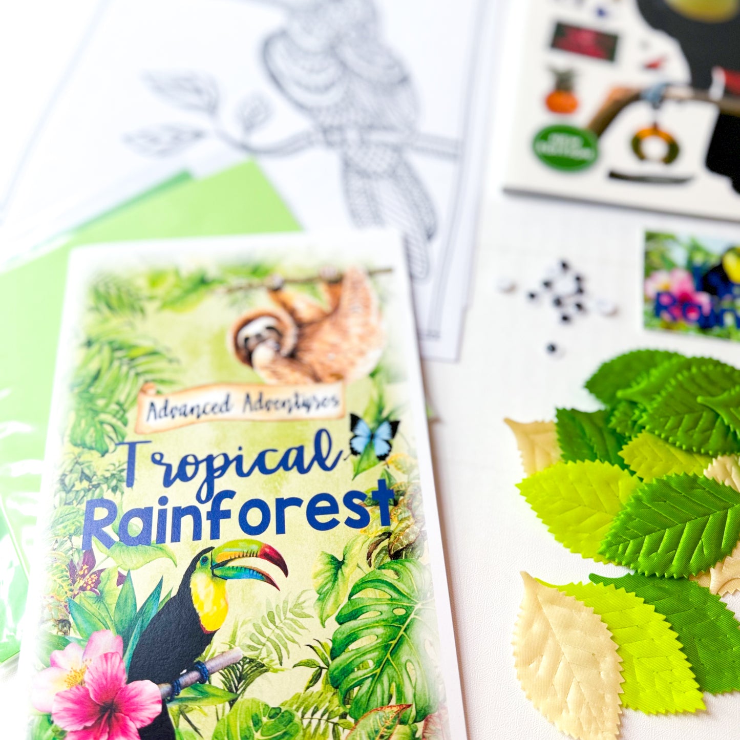AA Tropical Rainforest