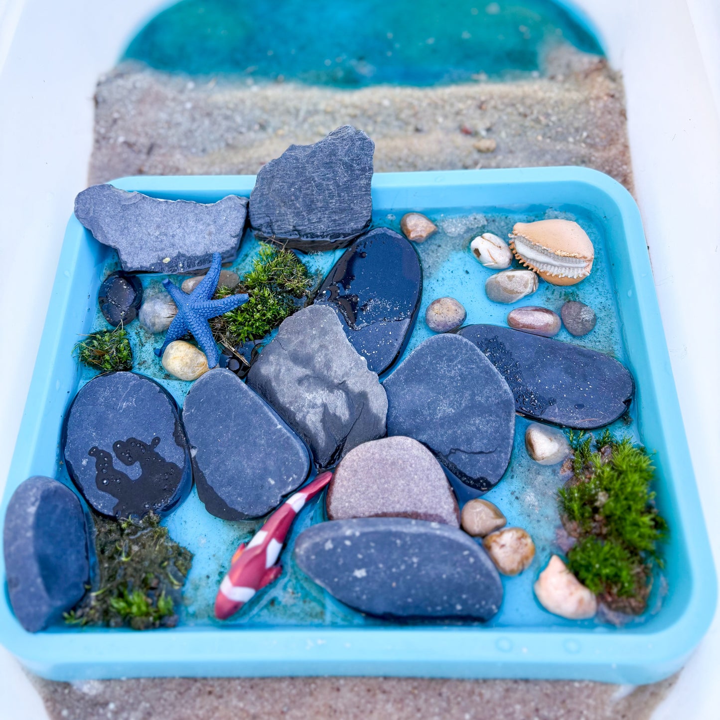 Deep Blue Sea Tide Pool Water Activity