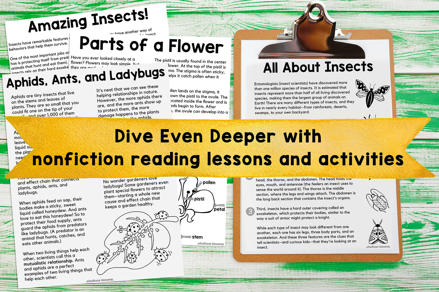 Renewing Subscription {Bugs & Blooms}