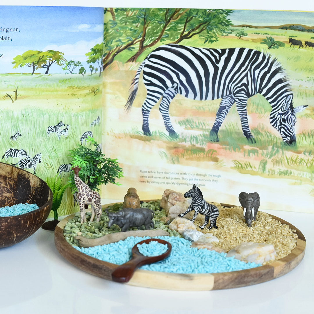 {PRE-ORDER} African Savanna
