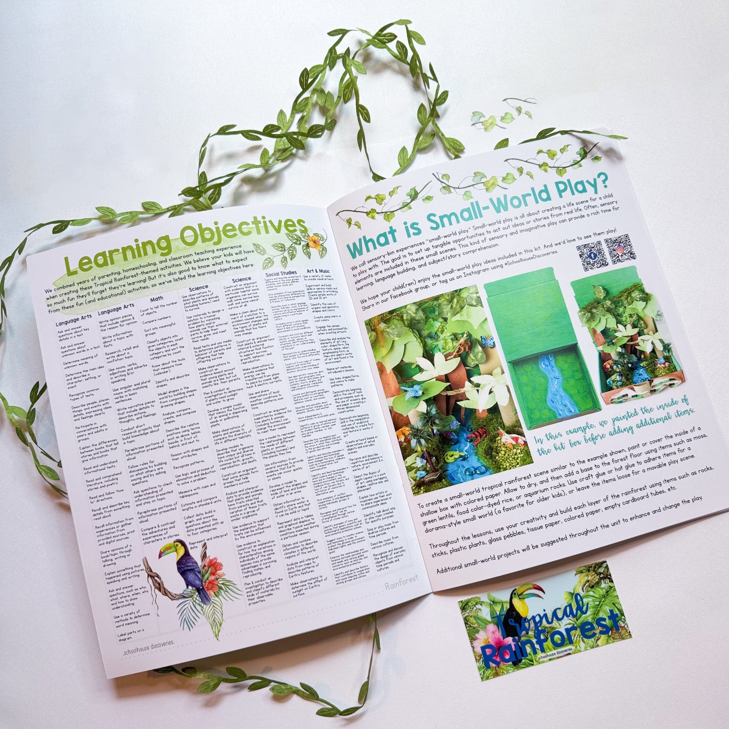 {PRE-ORDER} Tropical Rainforest