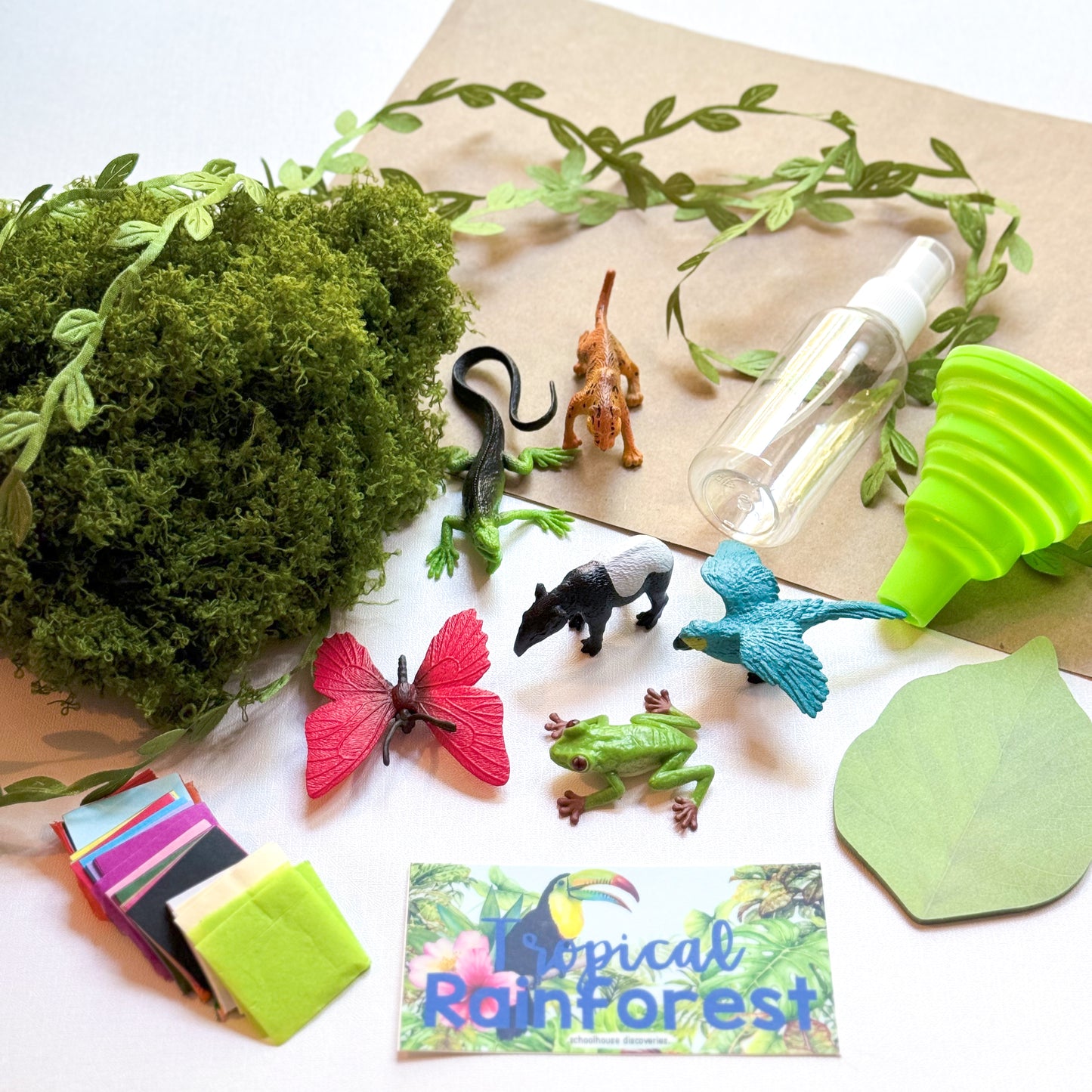 {PRE-ORDER} Tropical Rainforest