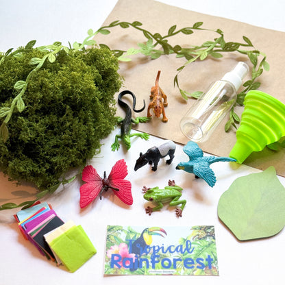 {PRE-ORDER} Tropical Rainforest