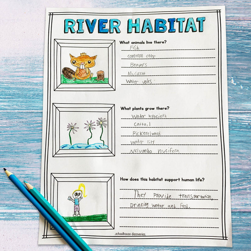 Trip to the River {PDF DIGITAL DOWNLOAD}
