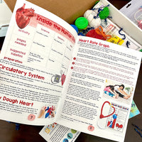 EE Inside the Human Body