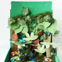 {PRE-ORDER} Tropical Rainforest