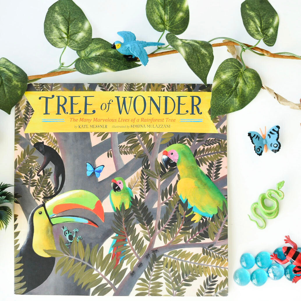 {PRE-ORDER} Tropical Rainforest