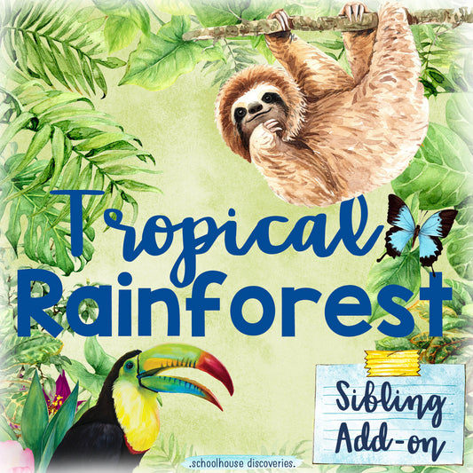EE Tropical Rainforest Sibling ADD-ON