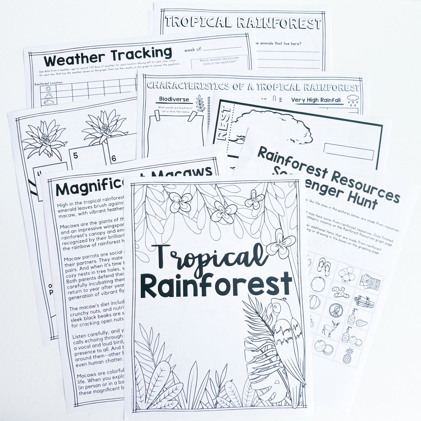 EE Tropical Rainforest Sibling ADD-ON