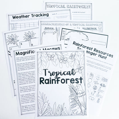 EE Tropical Rainforest Sibling ADD-ON
