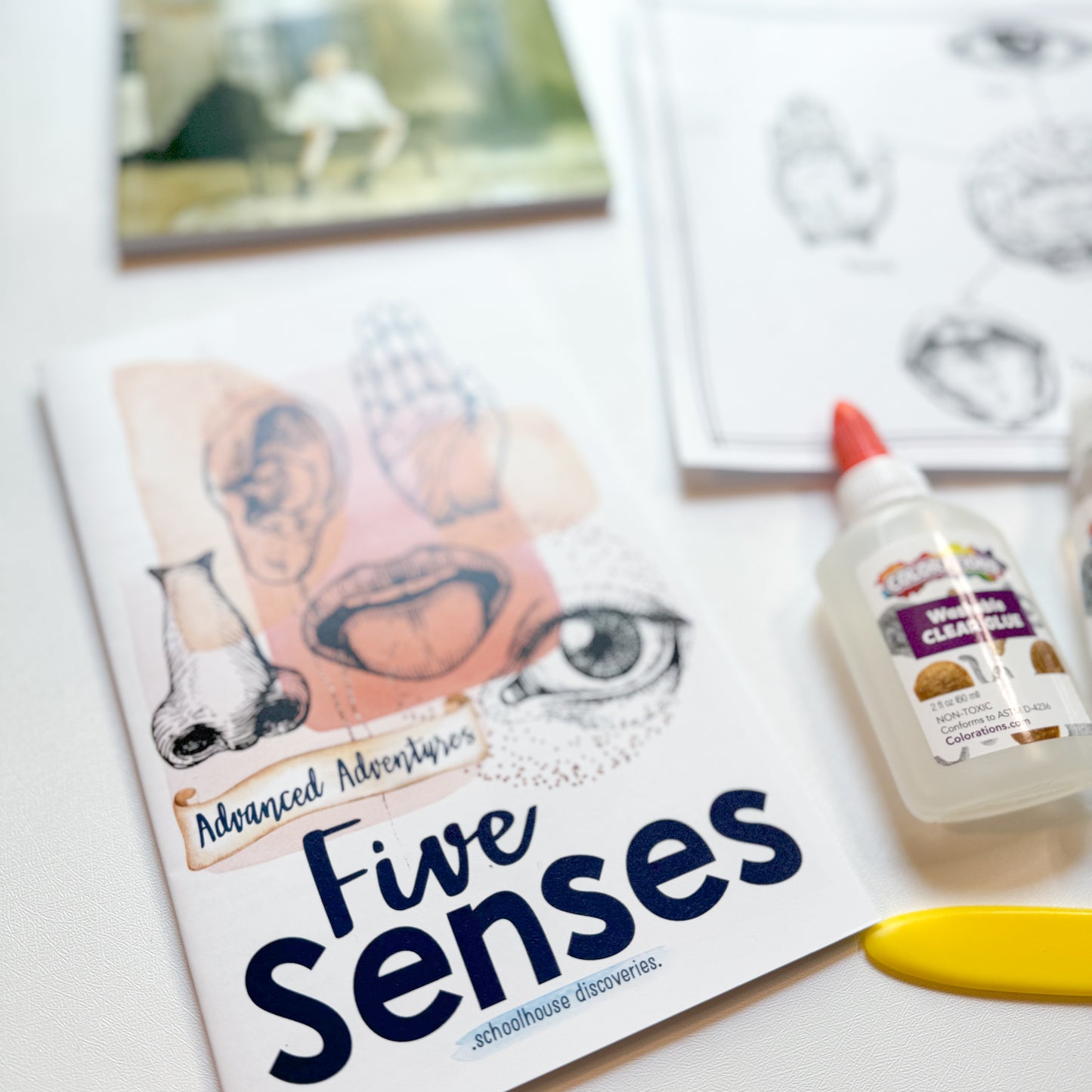 AA Five Senses