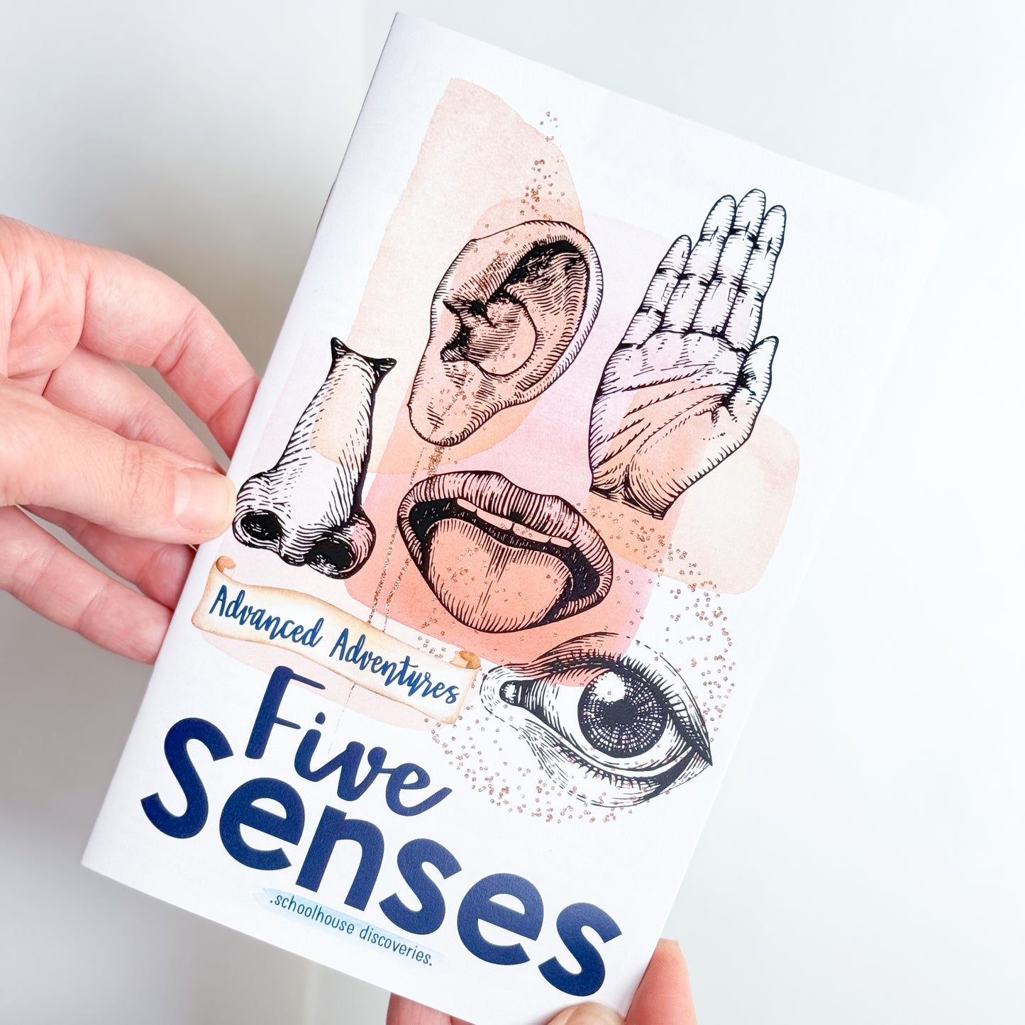 AA Five Senses