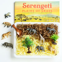 {PRE-ORDER} African Savanna