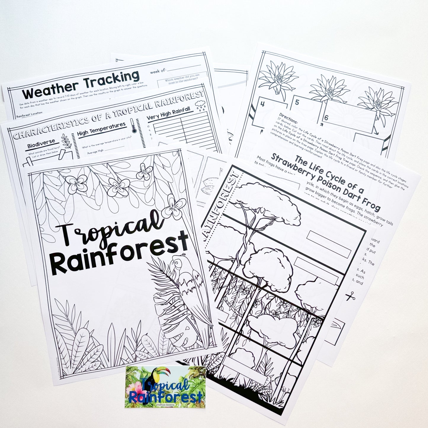 {PRE-ORDER} Tropical Rainforest