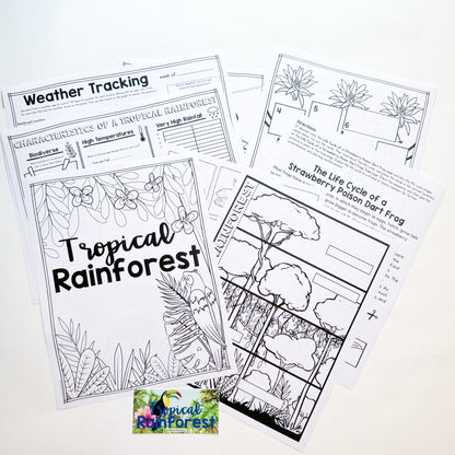 {PRE-ORDER} Tropical Rainforest