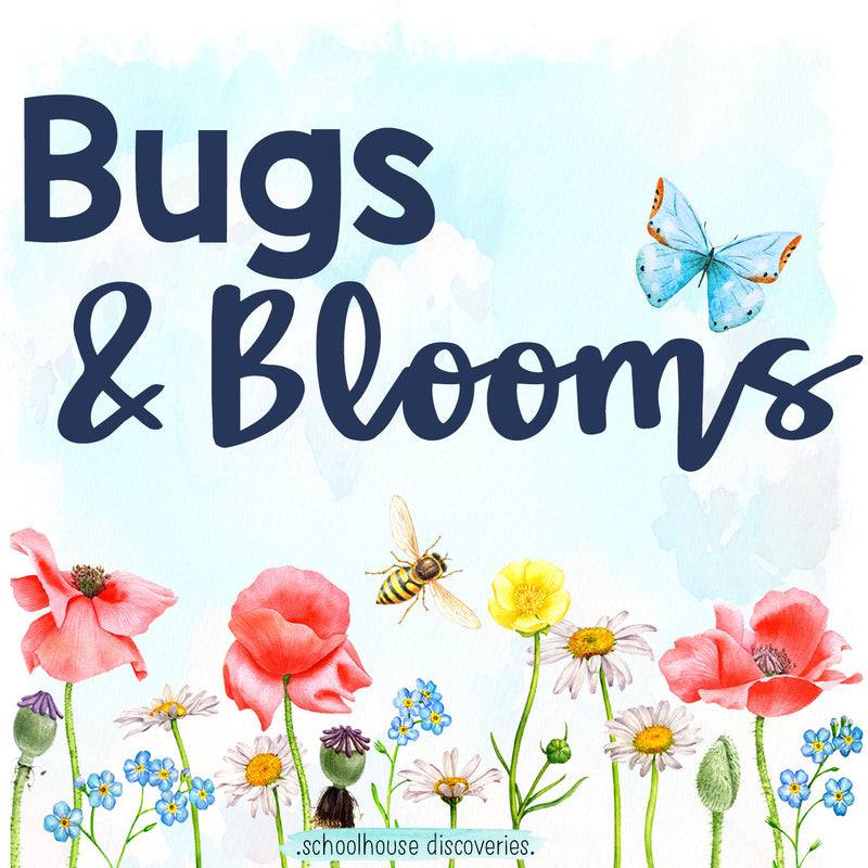 Bugs & Blooms