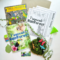 {PRE-ORDER} Tropical Rainforest