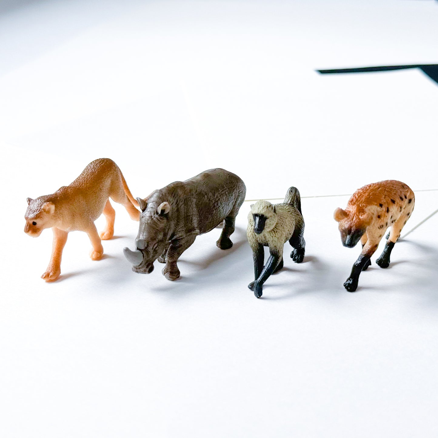 EE African Savanna Sibling Add-on