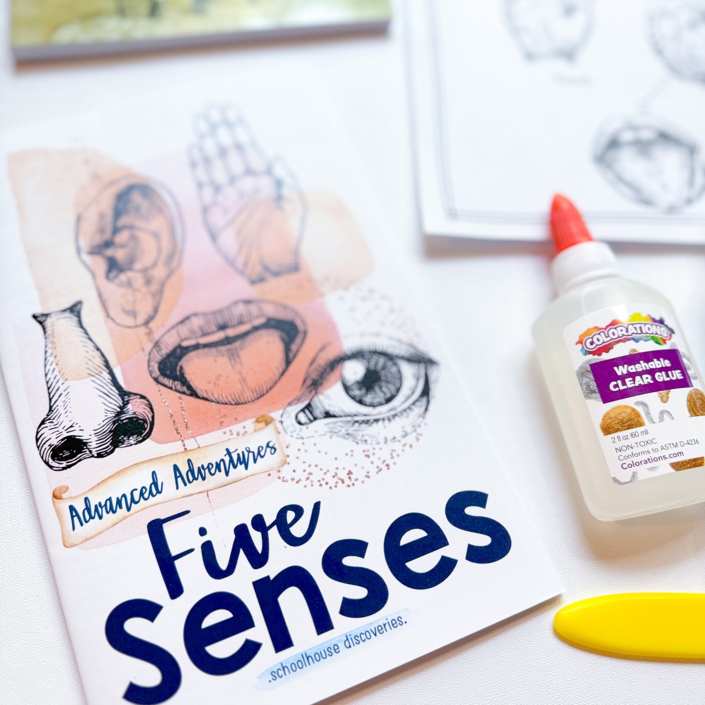AA Five Senses