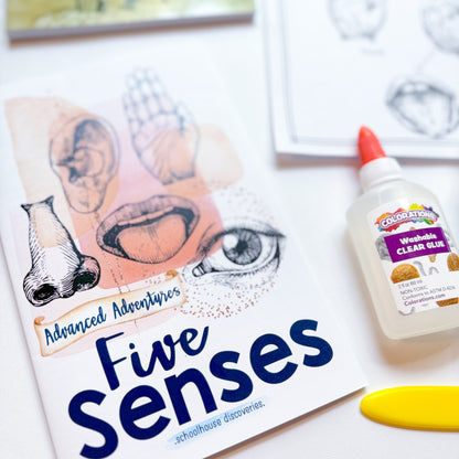 AA Five Senses