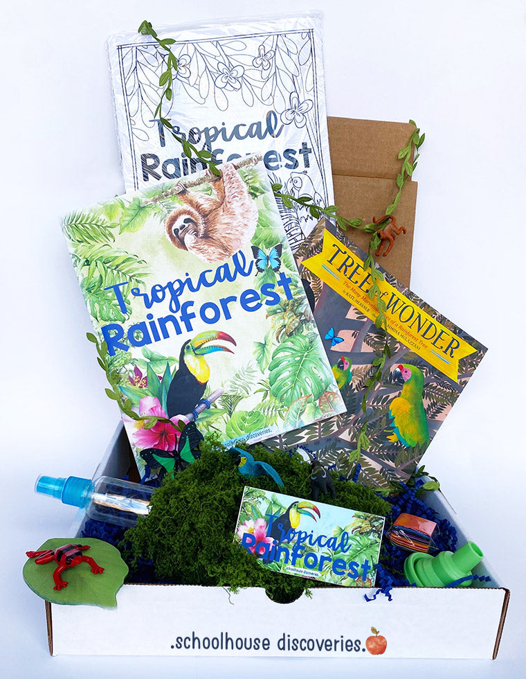 {PRE-ORDER} Tropical Rainforest