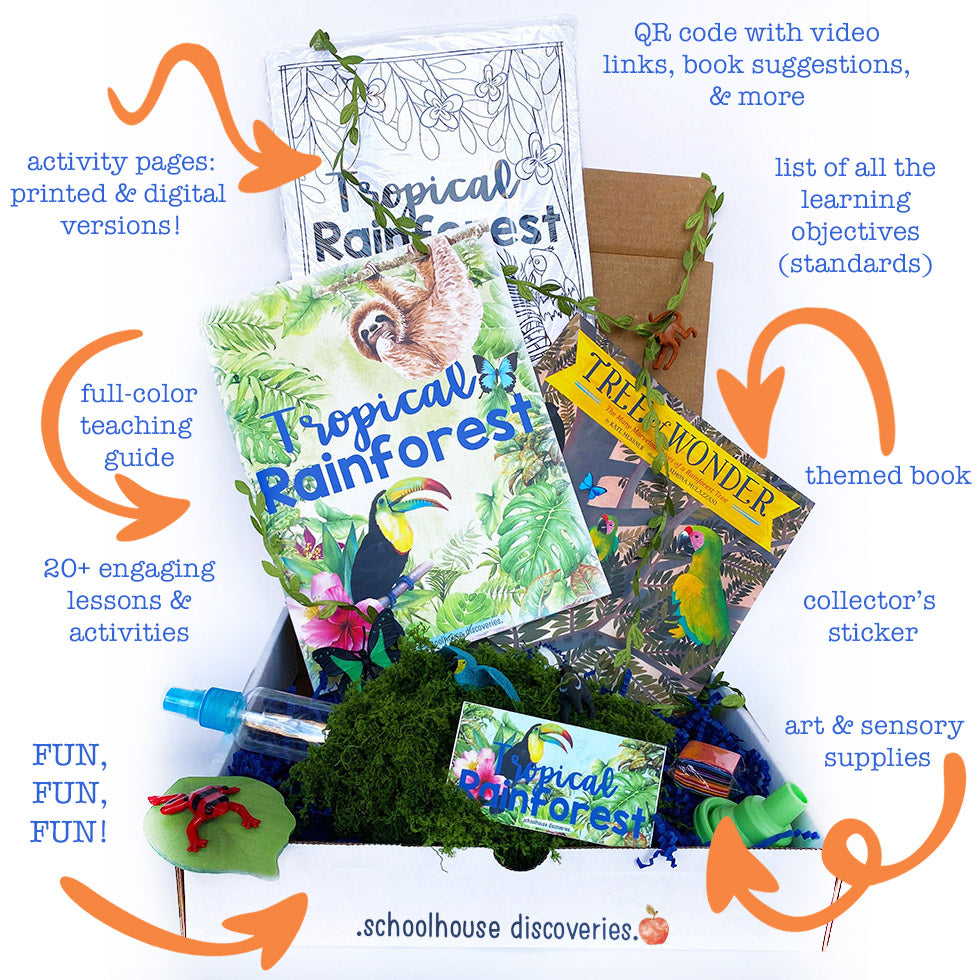 {PRE-ORDER} Tropical Rainforest