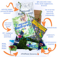 {PRE-ORDER} Tropical Rainforest