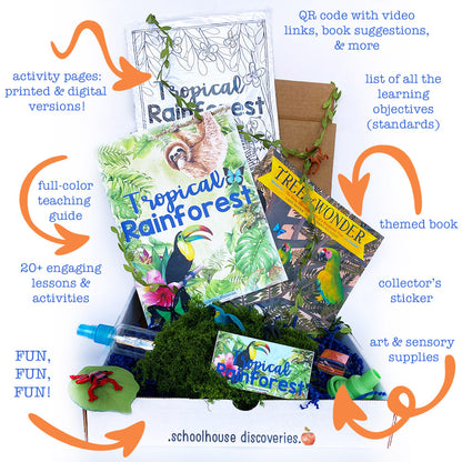 {PRE-ORDER} Tropical Rainforest