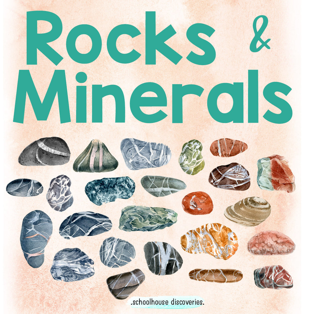 EE Rocks & Minerals
