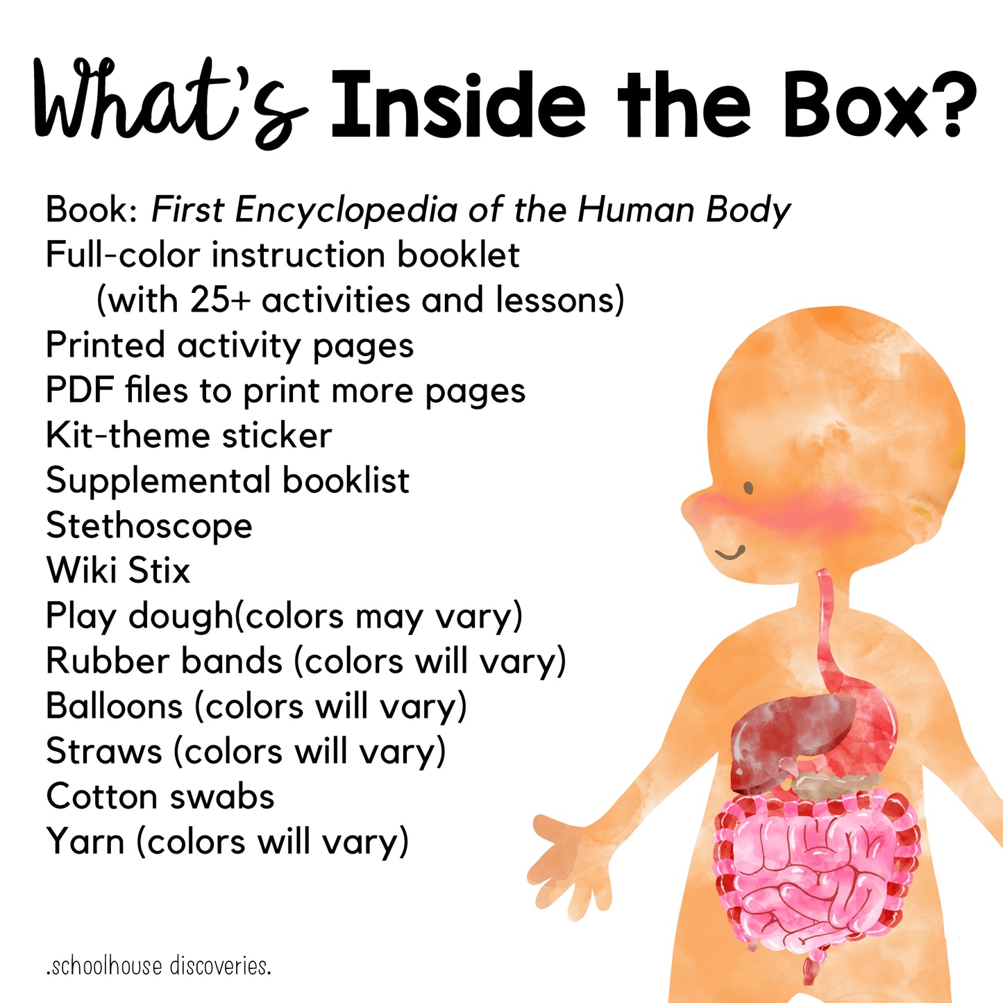 Inside the Human Body