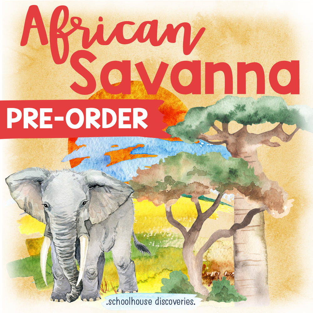 {PRE-ORDER} African Savanna