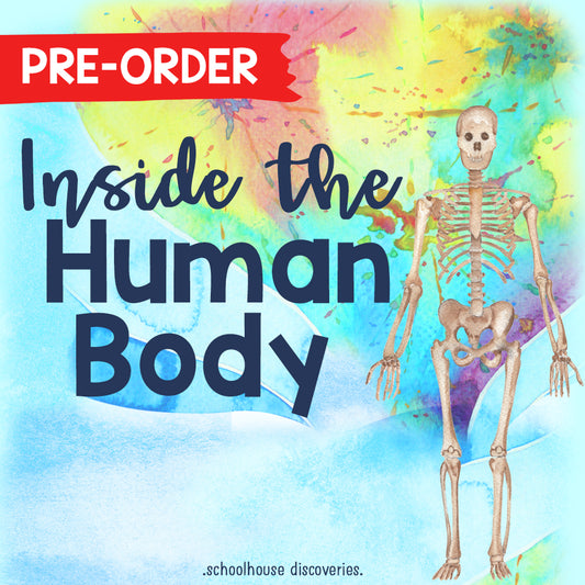 Inside the Human Body