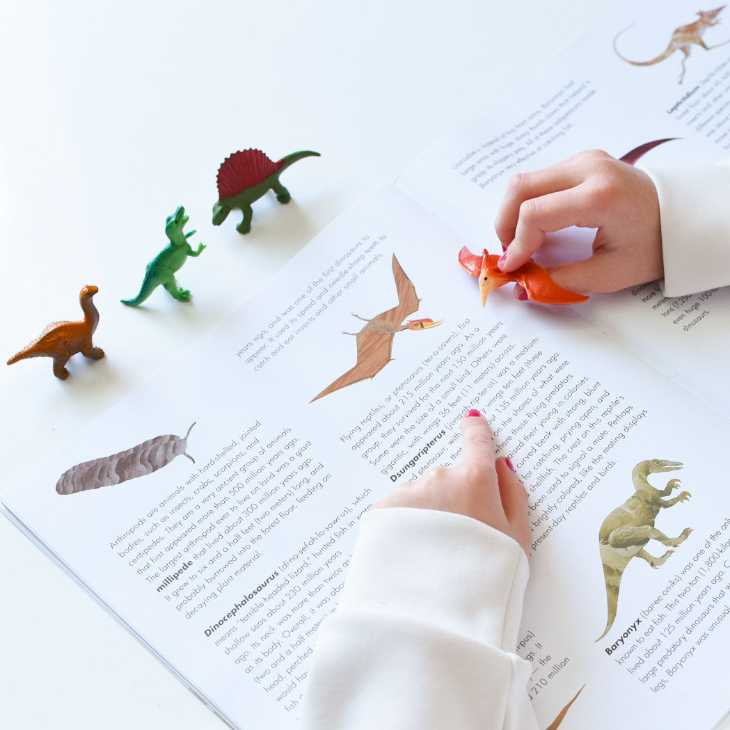 EE Prehistoric Animals