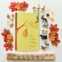 {PRE-ORDER} All About Autumn