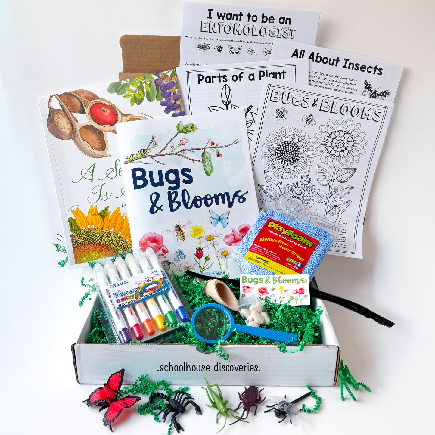Bugs & Blooms