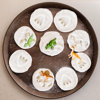 EE Prehistoric Animals