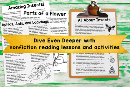 Bugs & Blooms