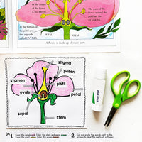 Bugs & Blooms
