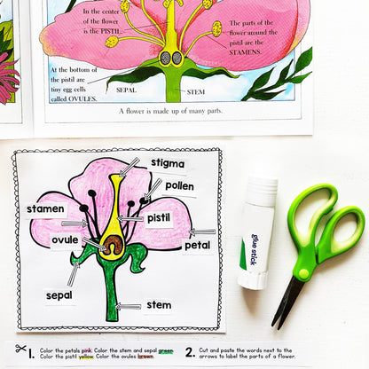Bugs & Blooms