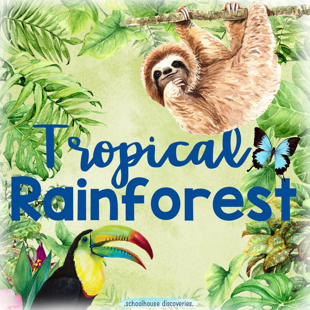 Tropical Rainforest