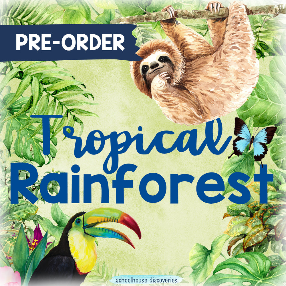 {PRE-ORDER} Tropical Rainforest